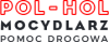 logotop6