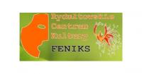 FENIKS