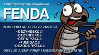 Wizytwka2str 1 1