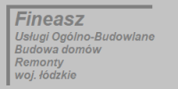 fineasz